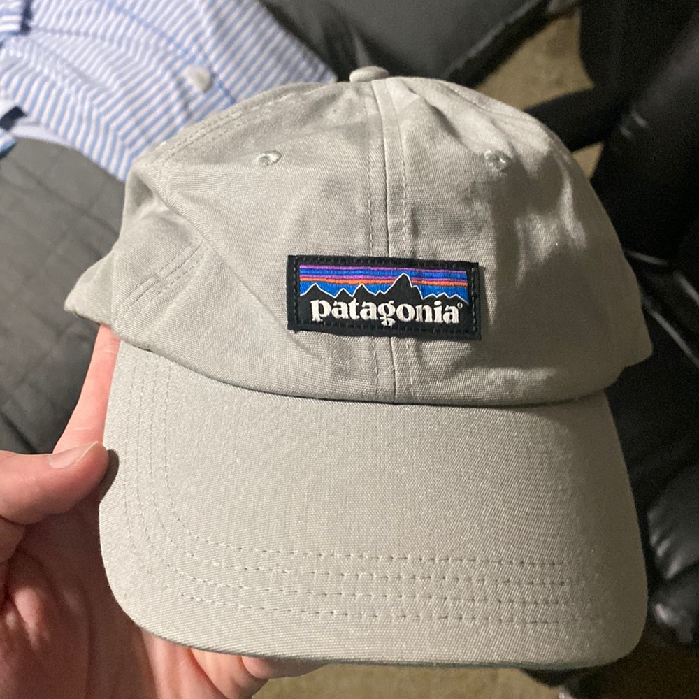 Patagonia Dad Hat